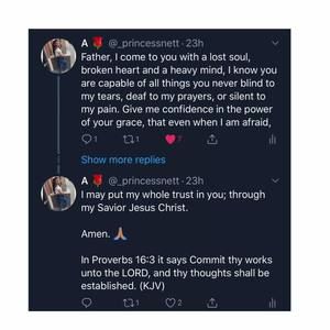 Meet your Posher, Antoinette